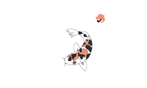 Simple Koi Excellence